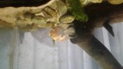 20170930_145019.jpg 20170930_145019.jpg
