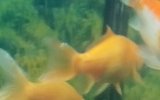 _20171017_160133.JPG