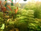 acuario3.jpg
