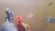 IMG-20171126-WA0003_opt.jpg