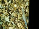 20171213_134004(0)_opt.jpg