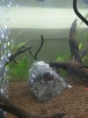 IMG_20171218_042759.jpg