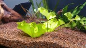 IMG-20180125-WA0032.jpg