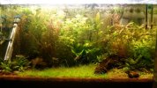 acuario.jpg