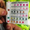 IMG-20180203-WA0017.jpg