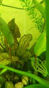 IMG-20180203-WA0011.jpg