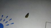 IMG-20180203-WA0014.jpg