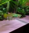 IMG_20180205_184534.jpg