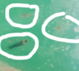 9.PNG