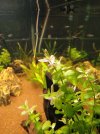IMG-20180206-WA0000.jpg