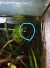 IMG-20180208-WA0026.jpg