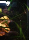 IMG-20180208-WA0027.jpg
