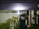 IMG-20180219-WA0003.jpg IMG-20180219-WA0003.jpg