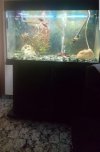 Screenshot_20180223-134600.jpg