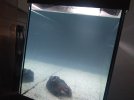 20180226142158.jpg