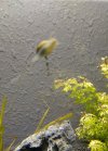 IMG_20180227_111424_749~3.jpg