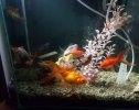 IMG-20180306-WA0003.jpg