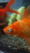 IMG-20180306-WA0005.jpg
