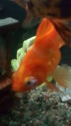 IMG-20180306-WA0008.jpg