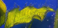 20180217_231515.jpg
