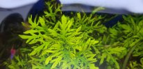 20180310_002113.jpg