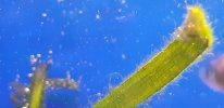 20180310_002405.jpg