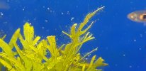 20180310_002553.jpg