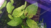 20171121_224537.jpg