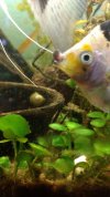 IMG-20180319-WA0014.jpg