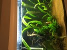 9A68163A-DBFA-4C35-BDF2-14FCB265E976.jpeg