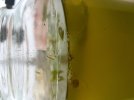 20180330_131106-min.jpg