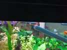 IMG_20180412_190814_1-compressed.jpg