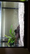 IMG-20180412-WA0111.jpeg