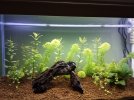 IMG-20180417-WA0013.jpg