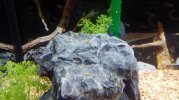 20180420_000346-compressed.jpg
