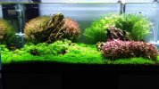 IMG-20160612-WA0011_zpsgryxxfhu.jpg