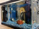 IMG-20180422-WA0008.jpg