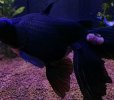 IMG-20180509-WA0002.jpg