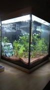 IMG_20180514_000206_381.jpg