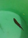 IMG-20180517-WA0003.jpg