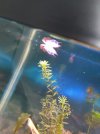 IMG-20180517-WA0001.jpg