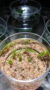 20180607_204705.jpg
