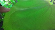 20180608_211740.jpg