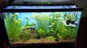 IMG-20180610-WA0008.jpg