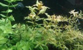 20180617_112252-compressed.jpg