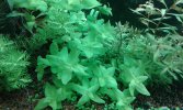 20180617_112304-compressed.jpg