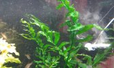 20180617_112338-compressed.jpg