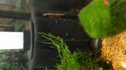20180626_133833.jpg