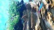 20180507_163711.jpg