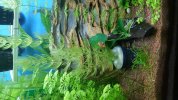 20180630_135924.jpg